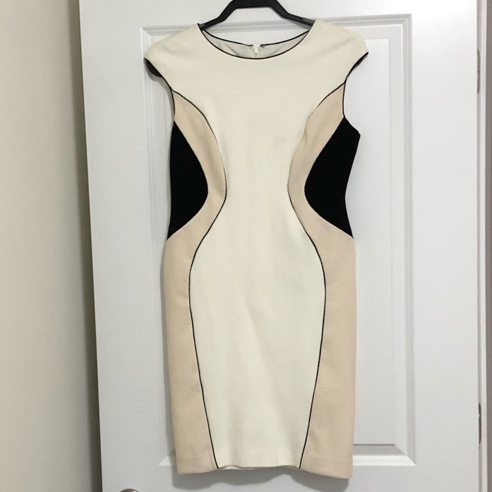 Ann Taylor Bodycon Dress